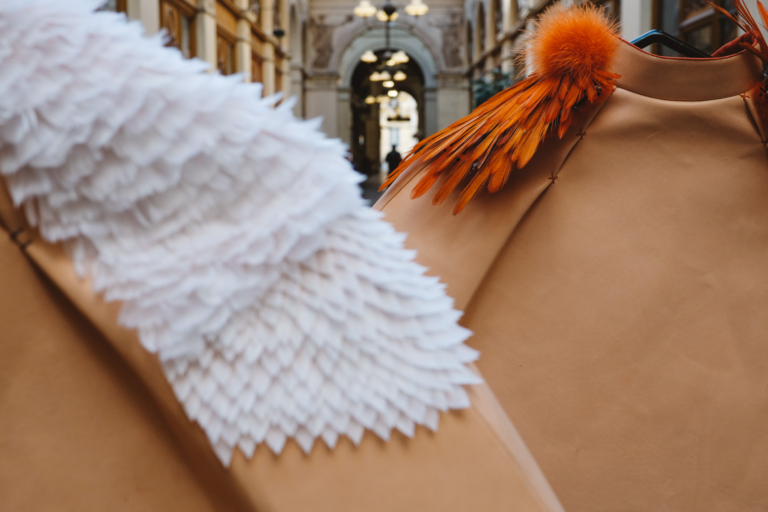 plumes blanches et orange feathers red and white